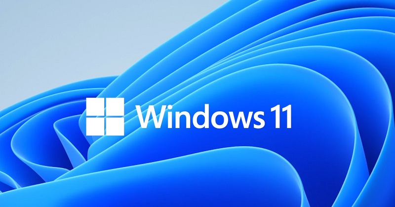 windows 11