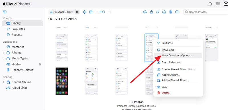 select more download options