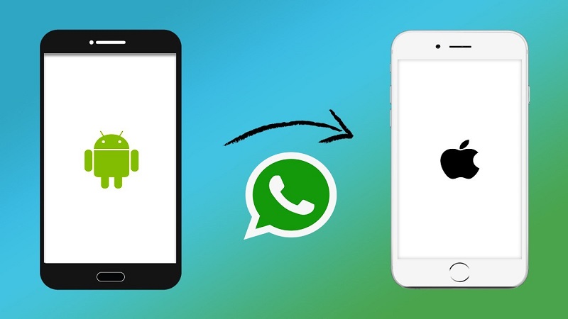 backuptrans Überprüfung von whatsapp android auf iphone 1