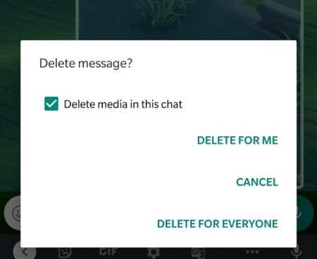 delete vídeos do whatsapp 6