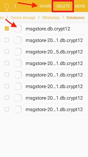 delete-whatsapp-local-backup