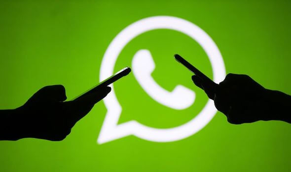 exporter un groupe de contacts de whatsapp 1