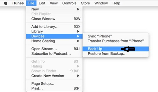 how to transfer line to new iphone 2