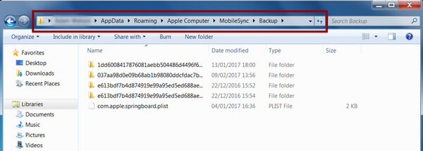 appdata roaming apple computer