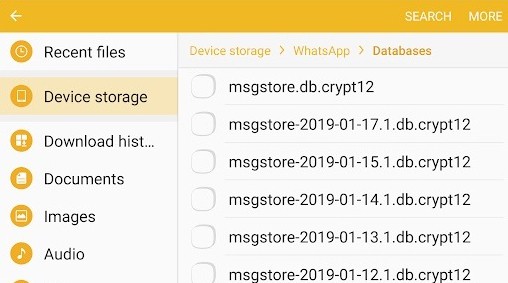 restore WhatsApp local backup