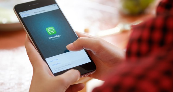 Как восстановить резервную копию WhatsApp Business на iPhone или Android