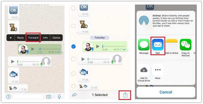 how to record whatsapp video call with audio on iphone