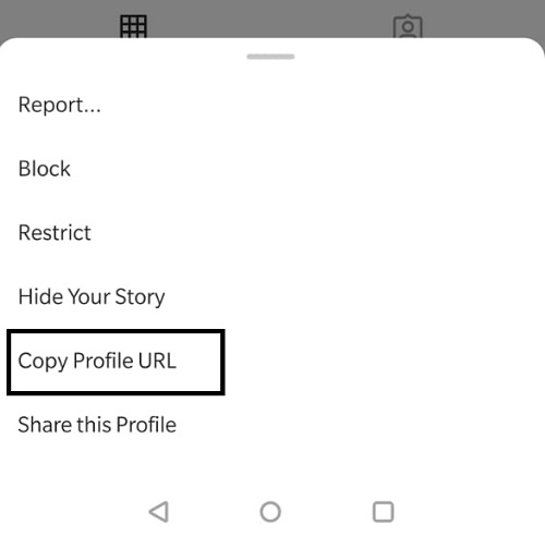 share instagram link on whatsapp 3