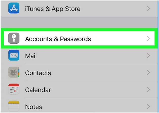 Accounts & Passwords in iPhone