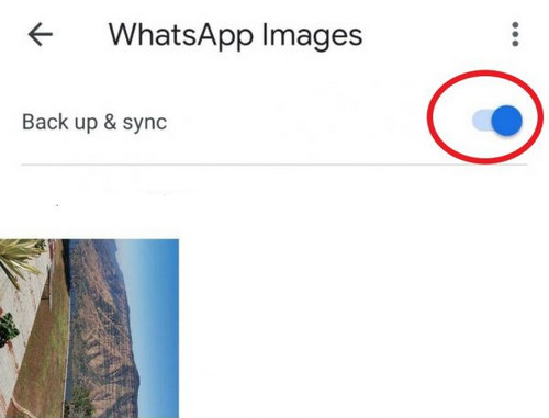 faça backup e sincronize a pasta “Imagens do WhatsApp” 