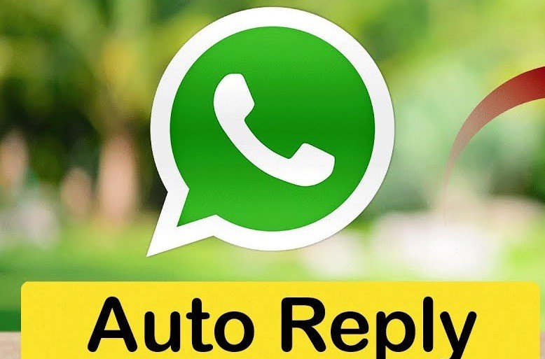 auto-réponse de whatsapp business 1