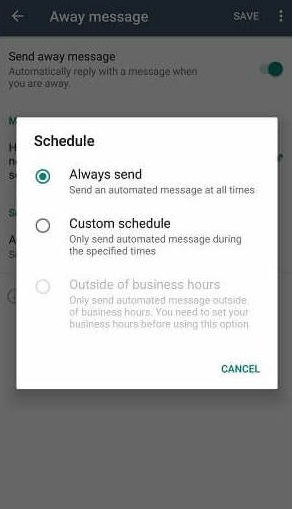 risposta automatica di whatsapp business 6