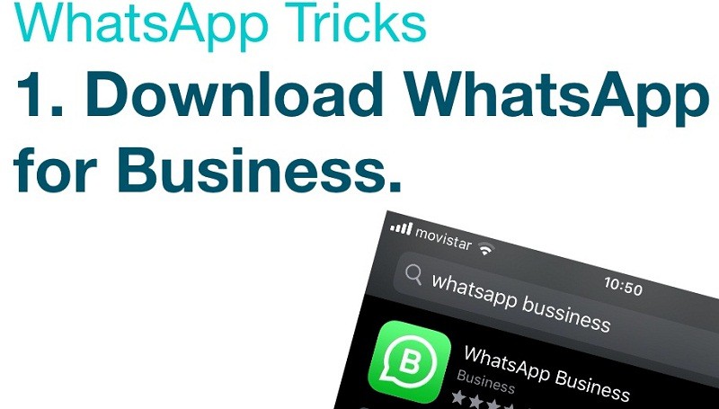 كتالوج whatsapp business 13