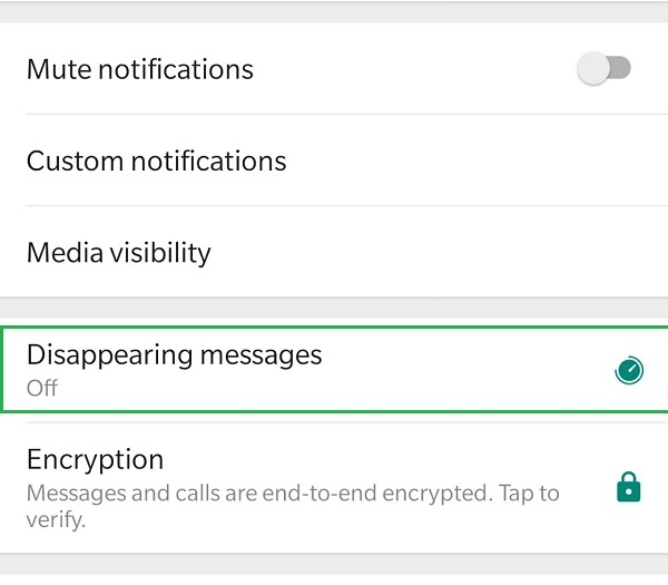 رسائل WhatsApp ذاتية الاختفاء 3