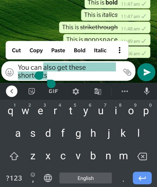 WhatsApp trick: How to send messages in blue colour and fancy