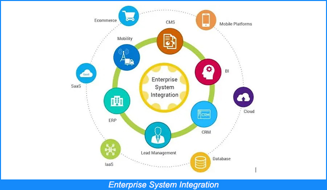 Enterprise System Integration