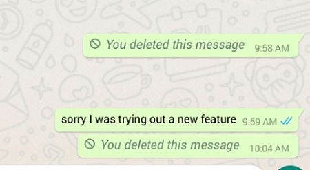 [Alt: “deleted message”]