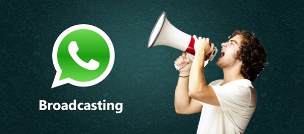  whatsapp-broadcast