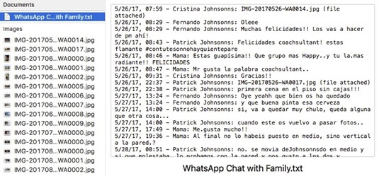 Copia de seguridad-formato-archivo-chat-imagen-19  