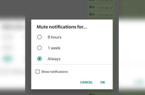 WhatsApp-Mute-options-pic12