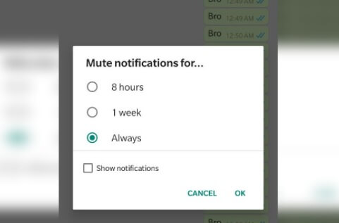 WhatsApp-Stummschaltung-Optionen-Pic12