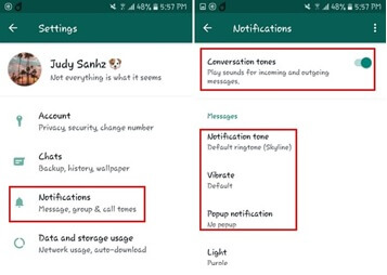 WhatsApp vibreur désactivé image17