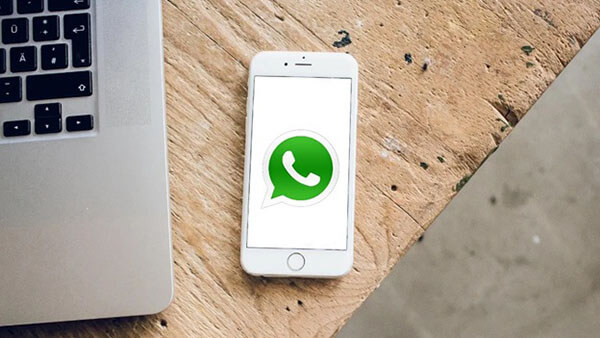 Backup de dados do Whatsapp iphone