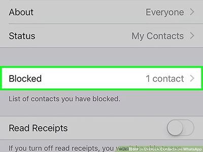 ver contato bloqueado