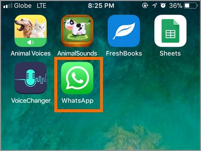 whatsapp iphone icon