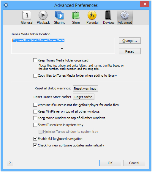 Comment copier la musique d'itunes sur le téléphone Windows-advanced options