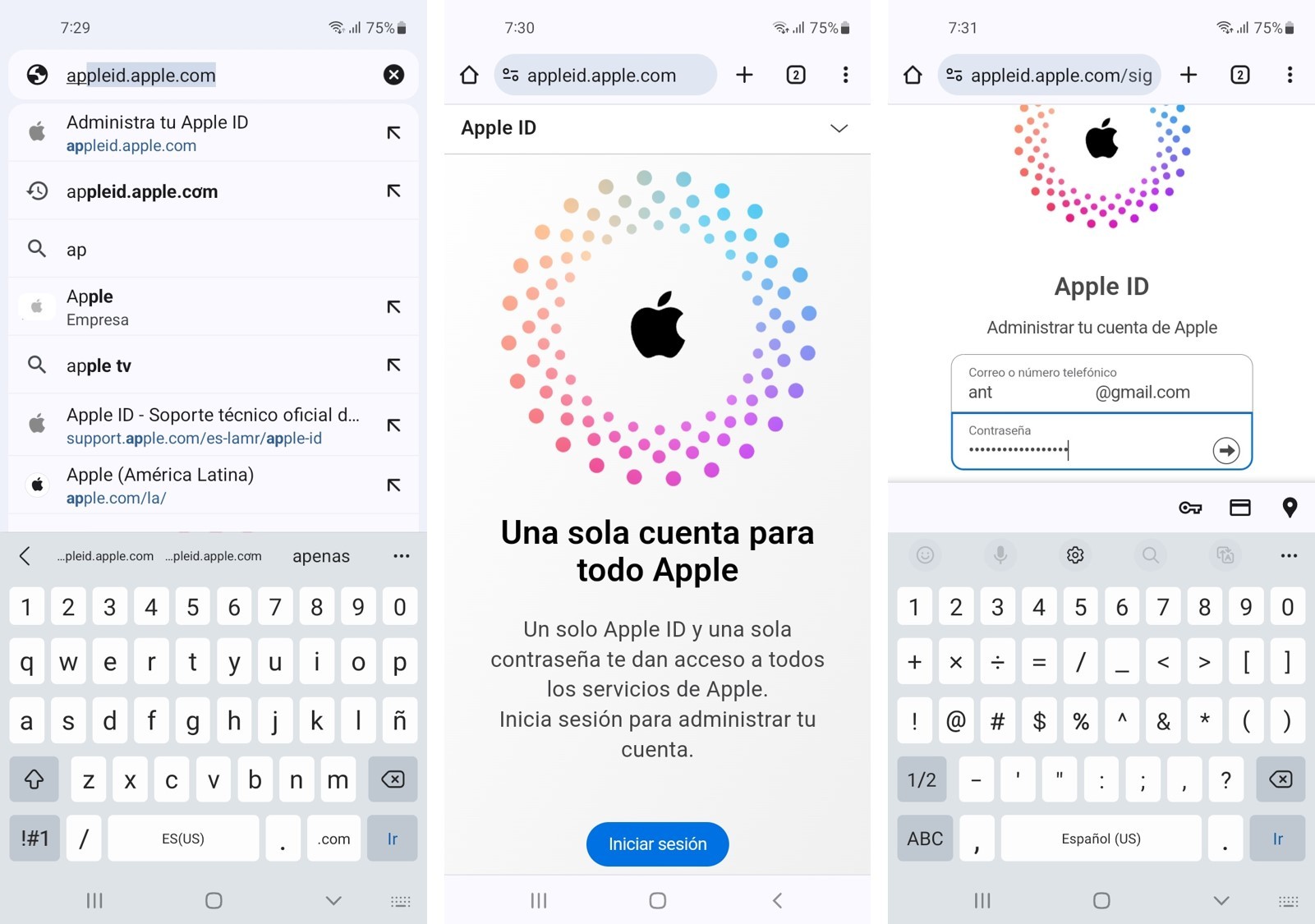 inicia sesión en tu apple id