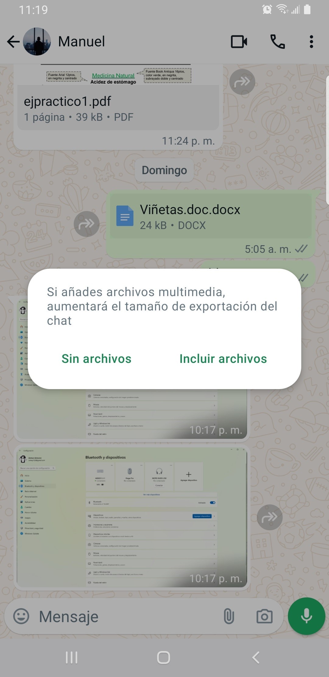 elige si incluye o no los archivos de chats