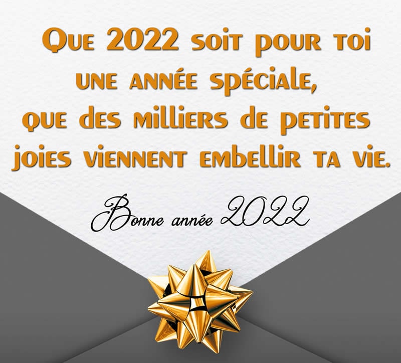 citation whatsapp