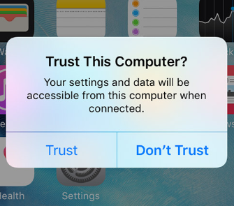 trust computer