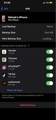 backup iPhone app data with icloud