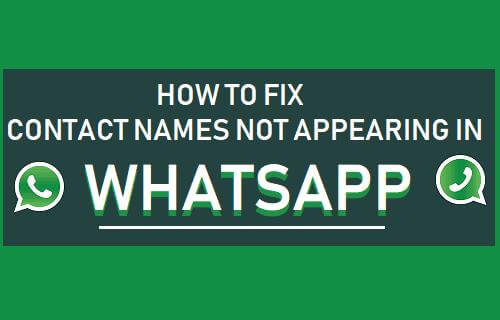 memperbaiki whatsapp yang tidak menampilkan nama kontak