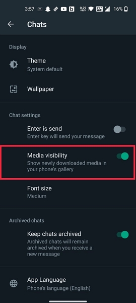 enable media visibility option