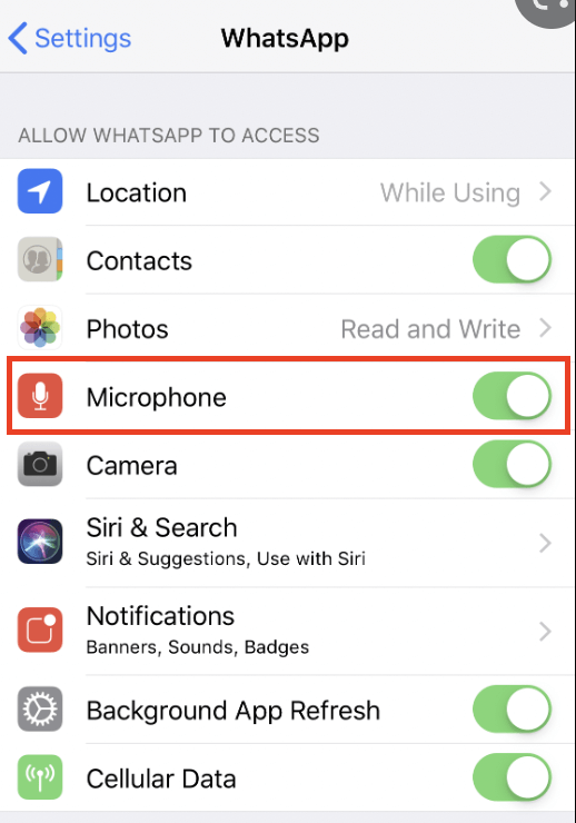 Voice setting. Микрофон в ватсапе. Как включить микрофон в ватсапе на айфоне. Voice setting is.