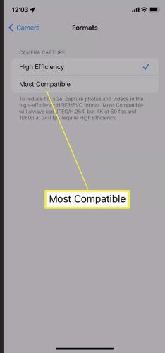 iphone camera format settings to jpg