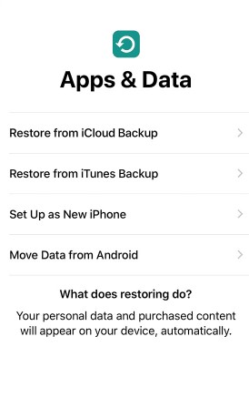 tap on restore from icloud backup