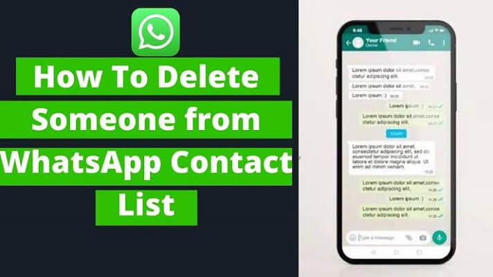excluir contato do whatsapp 1
