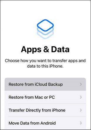 pilih untuk mengembalikan dari icloud Backup