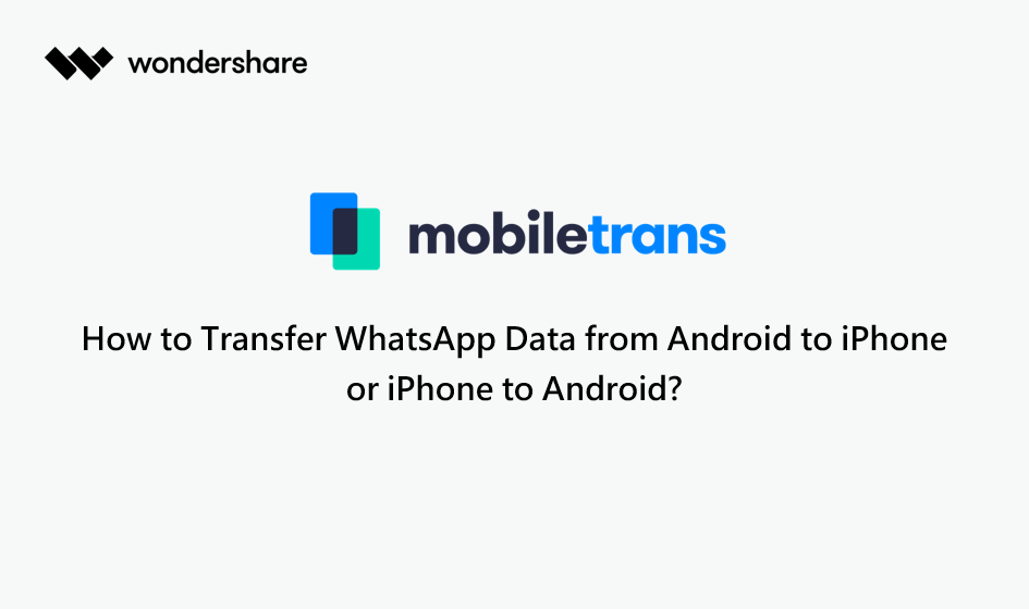 transfer whatsapp