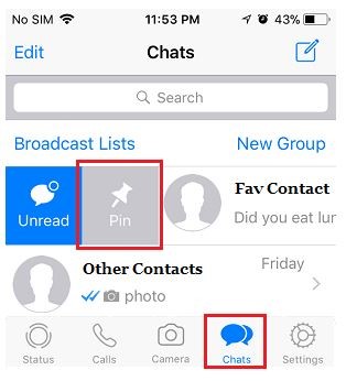 pin a chat on iphone