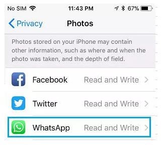 temukan media di whatsapp