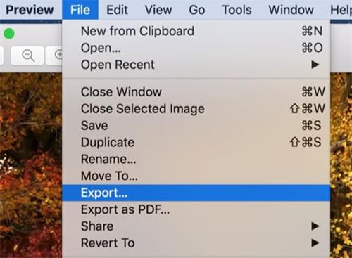 choose file and export