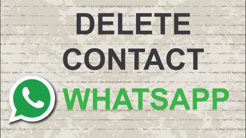 How to Remove Profile Picture on WhatsApp 