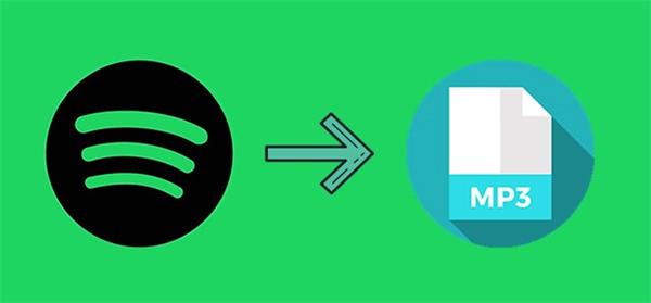 esportare le playlist spotify in mp3