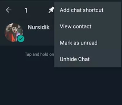 unhide chats on gb whatsapp