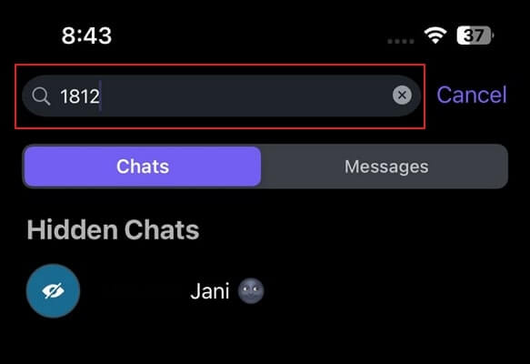 type your hidden chats pin